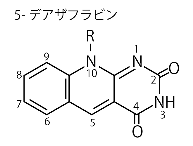 空手オリンピック パリ